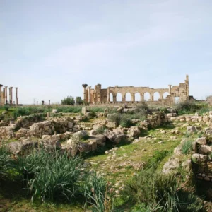 Gita di un giorno a Volubilis, Moulay Idris e Meknes