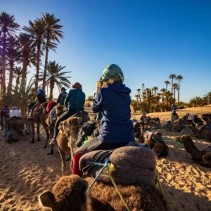 Marrakech Camel Ride Experience in the Palm Grove